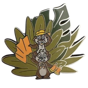 2024 Disney Parks Animal Kingdom Safari Mystery Pin - Chip and Dale - Picture 1 of 5