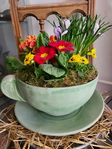 Großer Pfanztopf/Tasse mit Untertasse massiver Steinguss Gartendekoration - Bild 1 von 4