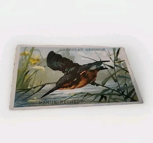 Tarjeta comercial francesa victoriana con estampado de pájaros del siglo XIX martín pescador chocolate Devinck anuncio BOGO - Imagen 1 de 6