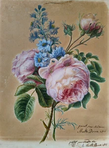 Bouquet de fleurs - Madame Malte-Brun 1816-1817 - Picture 1 of 4