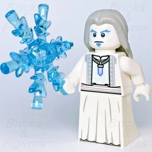 LEGO® The Ice King Man Wizard Build-A-Minifigure BAM Exclusive Minifigure hol209 - Picture 1 of 3