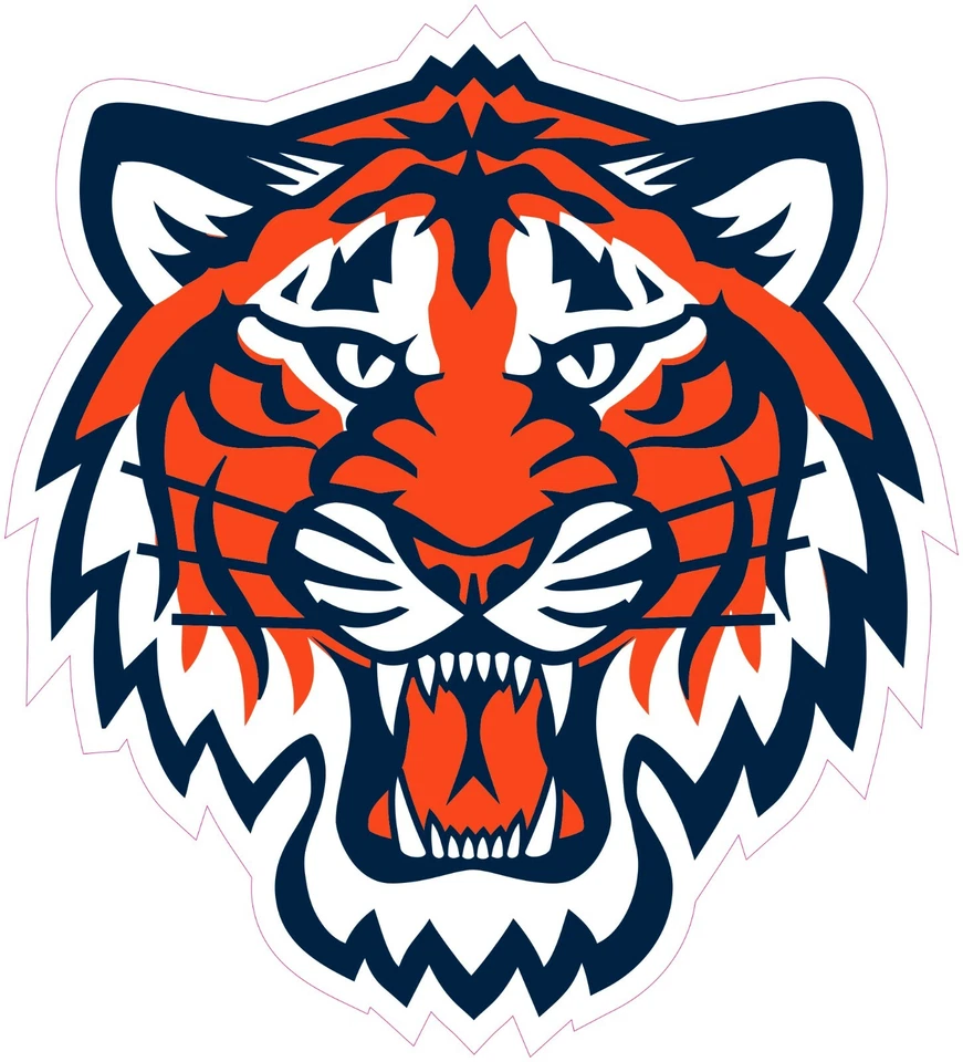 (NOT A PATCH) Detroit Tigers HTV Heat Press Transfer Vinyl Iron On - Image 1 of 1