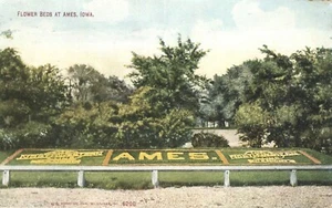 Blumenbeete Buchstabierung AMES Iowa 1909 Postkarte - Bild 1 von 2