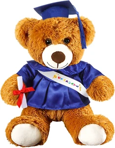 Graduation Bear 2025 with Gown Cap Tassel Set Graduation Stuffed Animal Plush Be - Picture 1 of 12