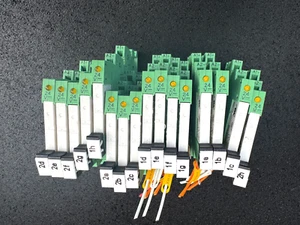 LOTTO {16} Relè contatto Phoenix + base 24VDC 6A 250V 5 pin n.2961105 Marine*NUOVO - Foto 1 di 7