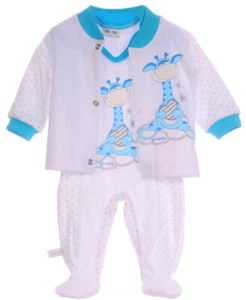 Baby Strampler und Hemdchen Set 50 56 62 68 74 80 Shirt Stramplerhose Bekleidung - Bild 1 von 1