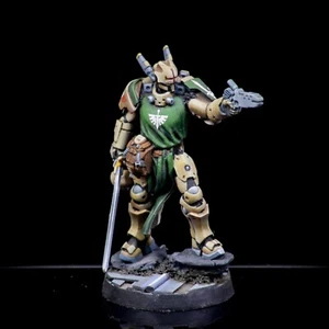 Pro Painted Infinity Panoceania Knight - Picture 1 of 6
