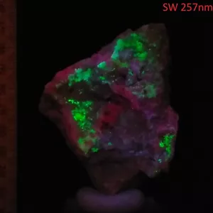 Fluorescent Uranyl Sodalite Calcite Albite w/ Biotite Mica & Nepheline 0.22kg - Bild 1 von 12