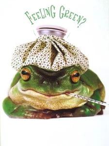 GET WELL CARD "Feeling Green? Get Well Soon!" AVANTI TOAD FROG - Picture 1 of 2