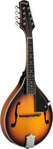 Bluegrass Mandolin w/ solid spruce top - Picture 1 of 1