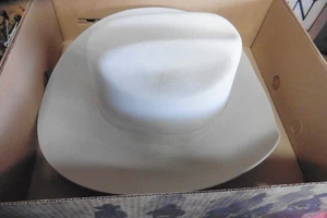 Vintage John B. Stetson XXXXX Beaver Western Cowboy Hat 7 1/2 Beige COWB R w/box - Picture 1 of 8