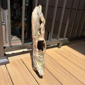 Hollow Driftwood Log 18x6 – Solid Wood for Terrariums, Aquariums, Reptiles - Picture 1 of 9