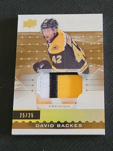 2016-17 UPPER DECK PREMIER DAVID BACKES #17 #ed 25/25 PREMIUM PATCH - Picture 1 of 1