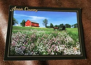 Ohio Amish Country Postkarte Sommer Pferd & Buggy Fahrt in Walnuss Bach - Bild 1 von 2