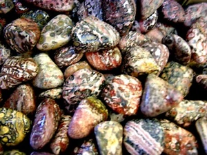 Leopard-skin jasper tumble polished 1-1 1/2 inch size 1/2 pound lots - Picture 1 of 4