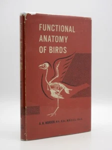 Functional Anatomy of Birds WORDEN 1965 HB & Jacket Ornithology - Picture 1 of 10