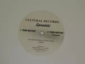 SPIRITCHILD dark matters 12" RECORD RARE NYC INDIE HIP HOP 2002 - Foto 1 di 1