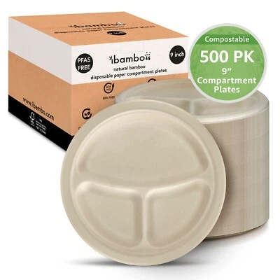 Ibambo Bamboo Disposable Compartment Plates - 9 Inch, 500 Pack, Compostable - Image 1 of 4