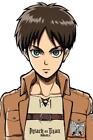 Attack On Titan : Eren - Maxi Poster 61Cm X 91.5Cm New And Sealed