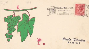 C20324-PUBBLICITARIE,CIRCOLO FILATELICO RIMINI, SAGRA DELL'UVA BORGOMANERO, 1959 - Imagen 1 de 2