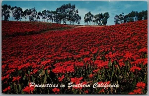Postcard Southern California San Clemente & Oceanside Poinsettia Plantation  - Imagen 1 de 2