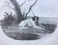  "HUNTING DOG"/"CHIEN DE CHASSE"; Original early 19th century lithograph, DOGS
