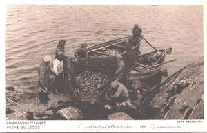 Denmark Angmagssatfangst Peche De Lodde Vintage Postcard B117 - Picture 1 of 2