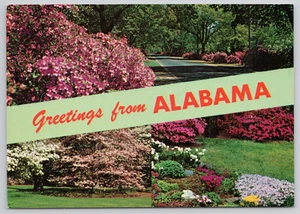 Postal Birmingham Alabama Greetings Continental 4x6 - Imagen 1 de 2