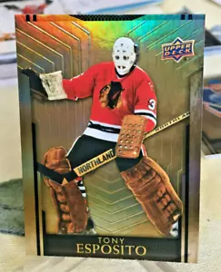 TONY ESPOSITO #14 ERROR MISPRINT TIM HORTONS LEGENDS UD 2023 - Picture 1 of 2