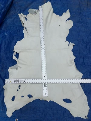 ОЛЕНЬ ШКУРЫ КОЖИ APROX. 12 КВАДРАТНЫХ ФУТОВ 2,5 УНЦИИ ВЕС 16 - Изображение 1 из 4