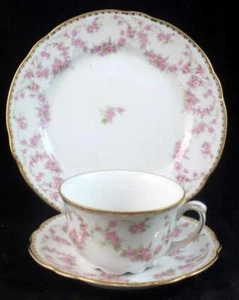 Tirschenreuth Trellis 1 Cup and Saucer Set and 1 Salad Plate 2267 - Picture 1 of 6