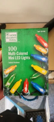 Home Accents Holidays 100 Multi Colored Mini LED Lights - INDOOR/OUTDOOR. NEW  - Image 1 of 4