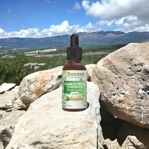 Chanca Piedra Tincture - Kidney, Liver and Bladder Health (Alcohol Free) - Picture 1 of 4
