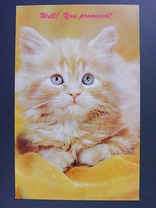 Lindo gatito con cara triste postal vintage color cromo años 50 - Imagen 1 de 2