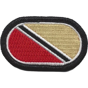725th Support Battalion Oval Patch Service To The Line - Picture 1 of 6