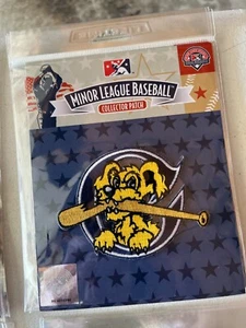 Charleston River Dogs Aufnäher MINOR LEAGUE BASEBALL MiLB OFFIZIELL LIZENZIERT - Bild 1 von 1