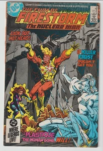 The Fury Of Firestorm #35 (maggio 1985, DC Comics) - Foto 1 di 3