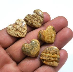 Atractiva imagen corazón jaspe cabujón lote de 5 piezas 76,30 crt piedras preciosas sueltas - Imagen 1 de 6