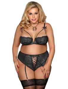 Sexy Black Plus Size 8-22 Lace Bra Underwear Panties Lingerie Set High Waisted - Picture 1 of 7
