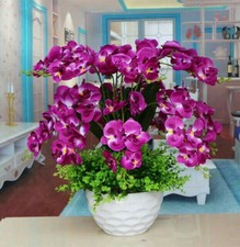 Orchid Fake Flower BEST OFFER !!