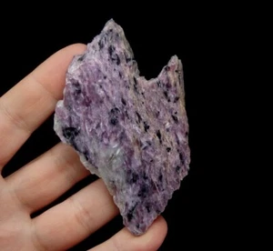 CHAROITE beautiful colour & AEGIRINE - RUSSIA - SIBERIA - Murunskii Massif pf662 - Picture 1 of 12
