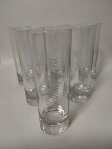 6 vasos de whisky Ballantines Highball Longdrink 2 cl 4 cl vaso de cóctel bar 22 cl - Imagen 1 de 4