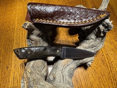 Sweet EDC PEN belt  knife High Carbon Steel w/Rams Horn handles - Image 1 of 3