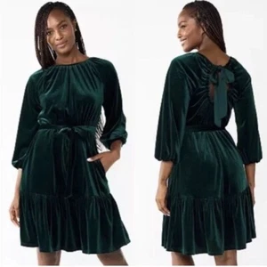 Draper James RSVP Forest Green Velvet Dress - Picture 1 of 6