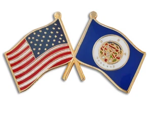 BANDERA DEL ESTADO DE MINNESOTA Y PIN SOLAPA EE. UU. - Imagen 1 de 1