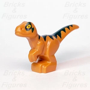 Jurassic World LEGO® Baby Raptor Orange Dark Green Markings Dinosaur 75938 - Picture 1 of 3