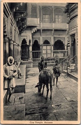 1909 Benares India RPPC Cow Temple Postcard Cover to USA Connecticut New Heaven - Image 1 of 2