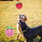 Cute Cat Strawberry Toy Plush Cartoon Fruit Dog Toys  Relieve Boredom