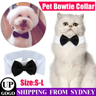Pet Dog Cat Pet Bowtie Collar Necktie Neck tie Wedding Tuxedo Bow Tie Party AU - image 1 of 4
