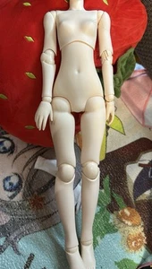 1/3 50cm Azone Petit Iris/ Obitsu Body *USA* - Picture 1 of 2